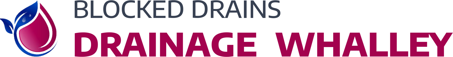 website logo